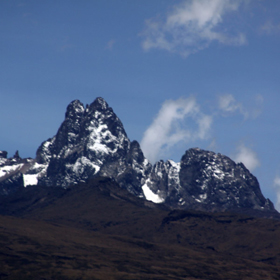 Stacks Image 104
